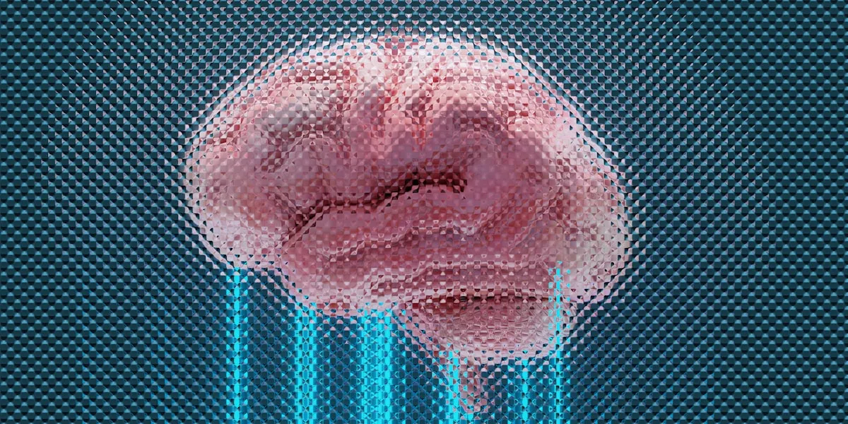 Redução de Complexidade, Aceitação, e O Que Significa a 'Consciência' para os Sistemas de IA